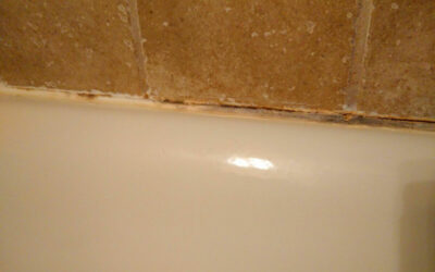 Checking Your Caulk and Grout Can Save You Lots of Trouble!